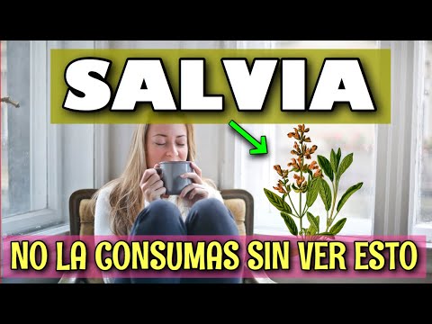 Propiedades de la salvias para el cabello