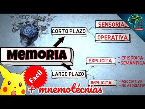 Que es la memoria a corto plazo