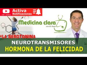 Salud psicología - Todo sobre salud y psicología 7 Pastillas para subir el animo naturales