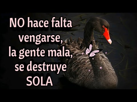 Frases para personas malas de corazon