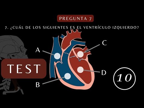 Test para saber si mi corazon esta bien