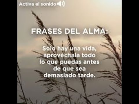 Frases que llegan al alma para reflexionar