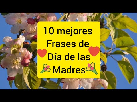 Frases bonitas para el dia de la madre