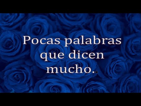 Frases sabias y bonitas para cada ocacion