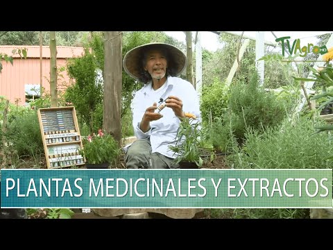 Lugar donde se venden hierbas y plantas medicinales