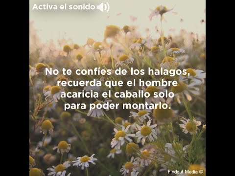 Frases de la vida para reflexionar