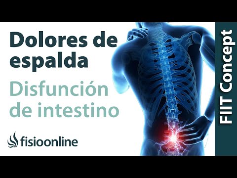 Dolor de espalda baja y vientre inflamado y gases