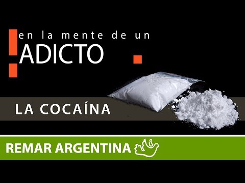 Comportamiento de un adicto a la coca