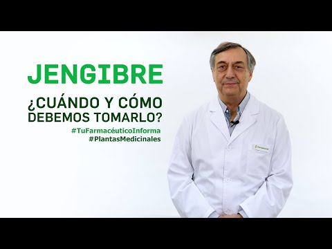 Cuantas infusiones de jengibre se pueden tomar al dia