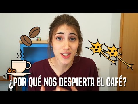 Efectos de la cafeina en el sistema nervioso