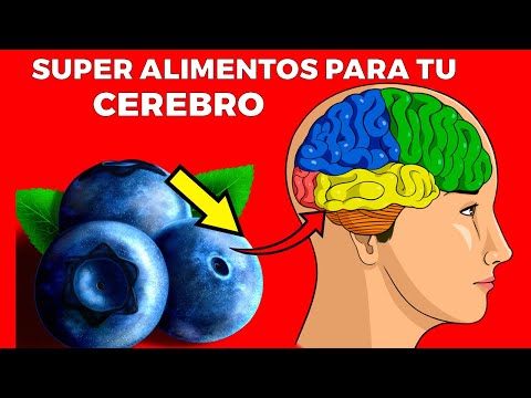 Alimentos para el cerebro y las neuronas