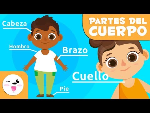 Partes del cuerpo humano para ninos