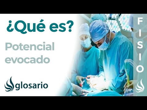 Cuanto dura la prueba de potenciales evocados