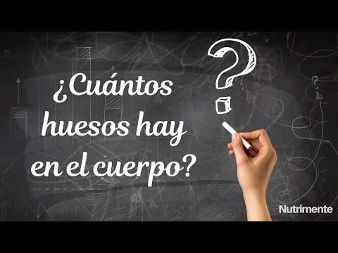 Cuantos huesos tenemos en el cuerpo