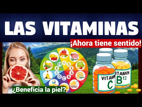 Tipos de vitaminas y sus funciones