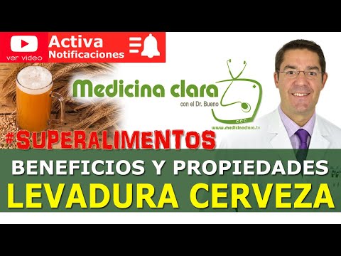 Levadura de cerveza propiedades y contraindicaciones