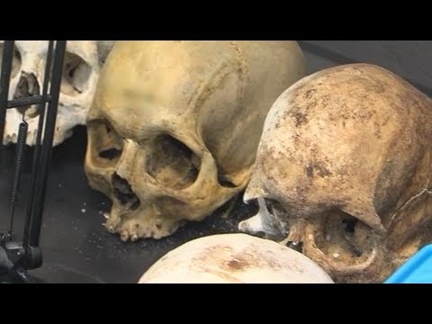 Cuanto cobra un forense en Espana