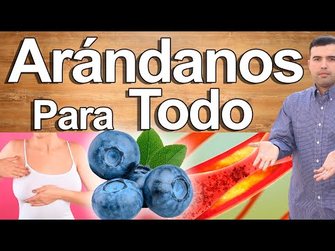 Para que son buenos los arandanos