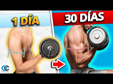 Cuanto tarda en crecer el musculo