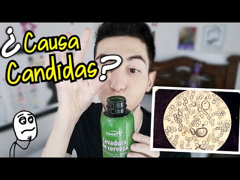 Contraindicaciones de la levadura de cerveza