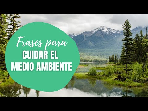 Frases para cuidar el medio ambiente