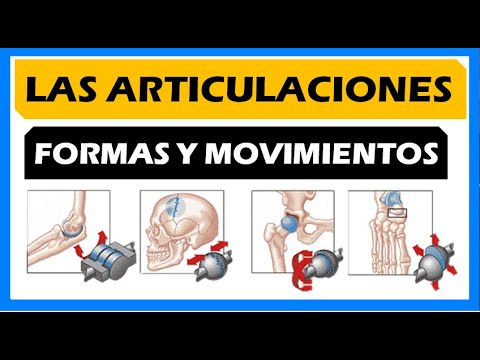 Tipos de articulaciones segun su movimiento