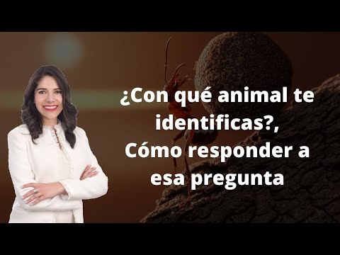 Si fueras un animal cual serias