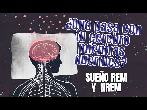 Sueno rem y sueno profundo es lo mismo