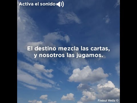 Frases de vivir el dia a dia