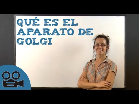 Que es el aparato de golgi