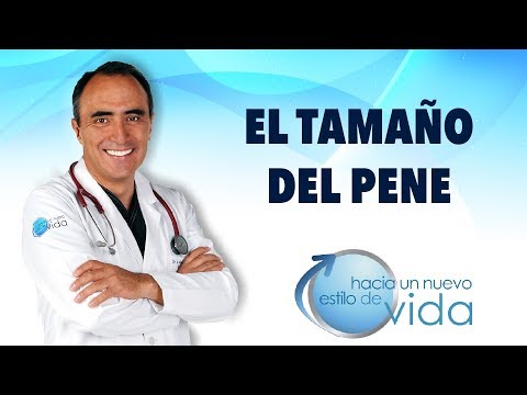 De que depende el tamano del pene