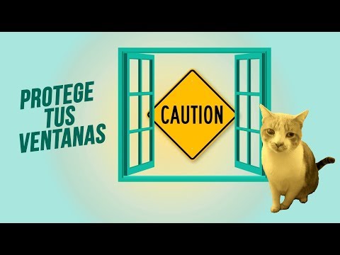 Redes para gatos de quita y pon