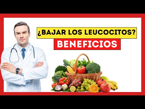 Como bajar los leucocitos de forma natural