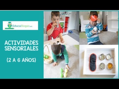 Actividades para trabajar los sentidos en primaria