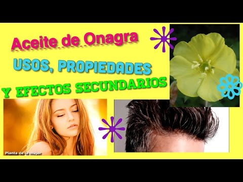 Aceite de onagra propiedades y contraindicaciones