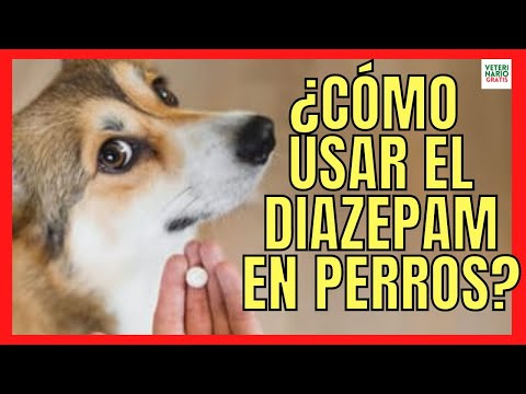 Dosis letal de diazepam en perros