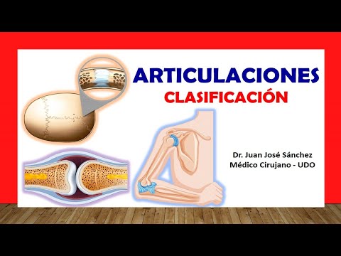 Tipos de articulaciones del cuerpo humano