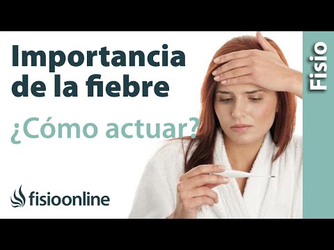 Fiebre por la noche en adultos