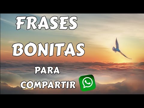 Frases bonitas para estados de whatsapp