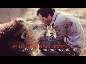 El ser humano es un animal