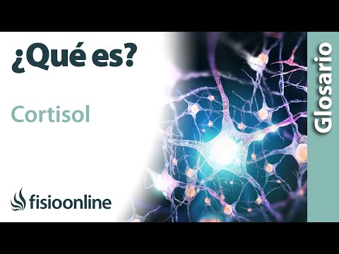 Que es el cortisol y para que sirve