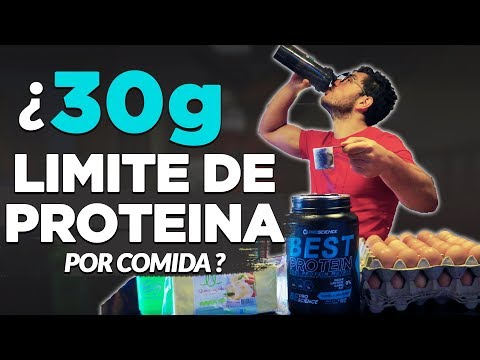 Cuanto son 30 gramos de proteina