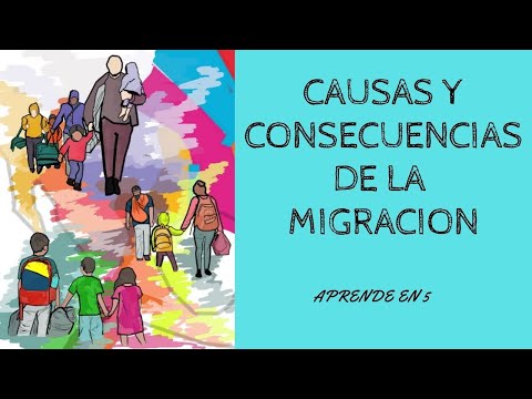 Causas y consecuencias de la migracion