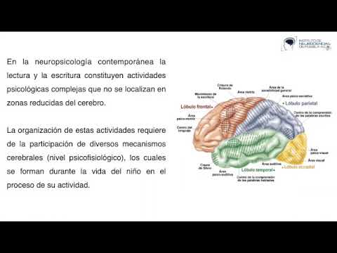 Programa de intervencion en problemas de lectoescritura