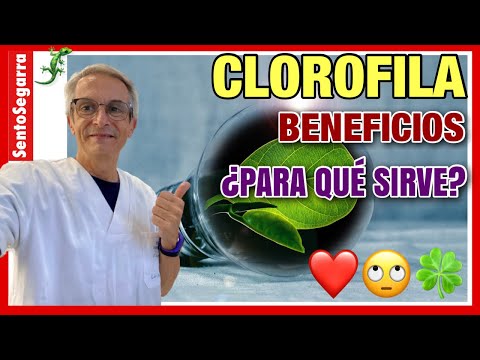 Que es la clorofila y para que sirve