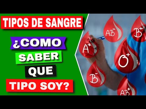 Como saber que tipo de sangre tengo