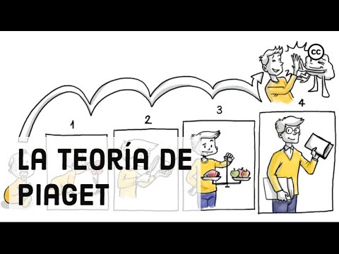 Teoria del desarrollo cognitivo de piaget