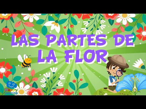 Partes de una flor para ninos