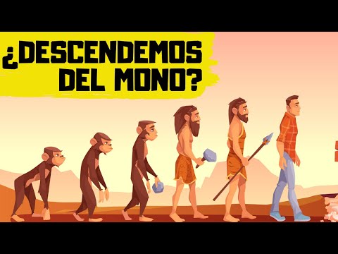 Primer biologo que propuso la teoria de la evolucion