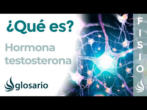 Que es la testosterona en hombres